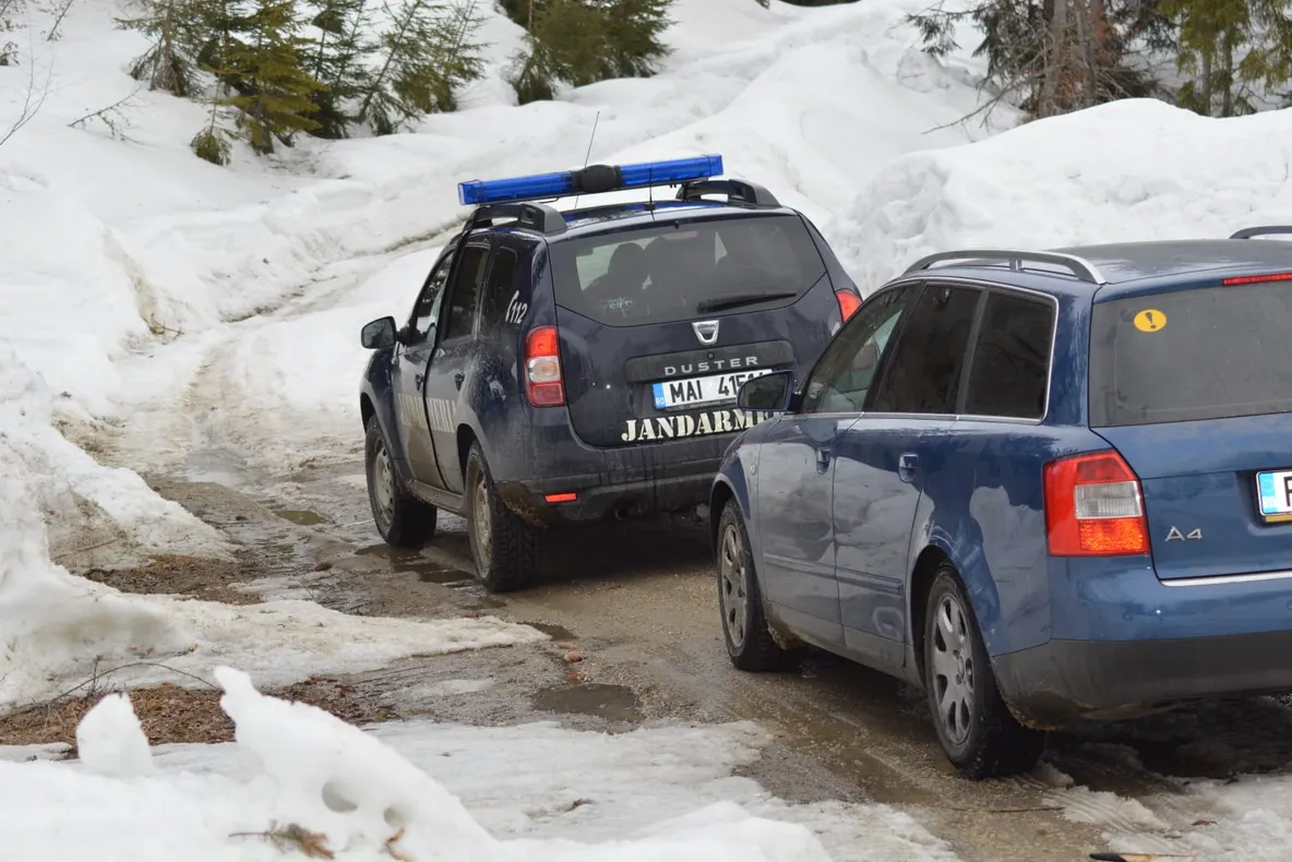Turiști prahoveni, ajutați de jandarmii montani dâmbovițeni