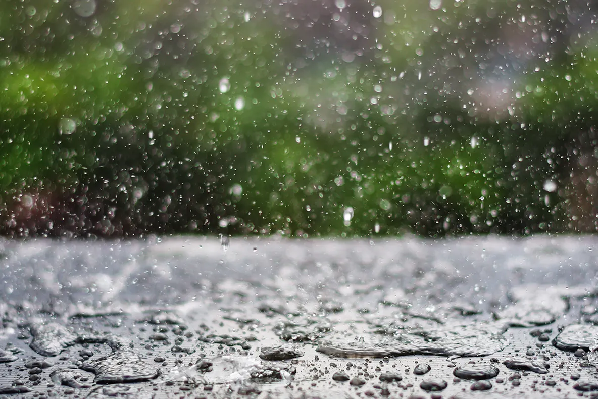 PROGNOZA METEO. Noiembrie vine cu ploi abundente şi vreme friguroasă