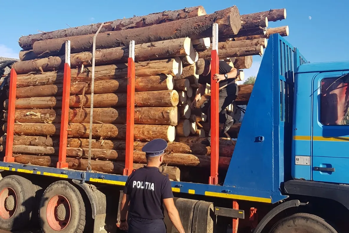 Captură importantă. 5 mc de lemn, fără acte, au fost confiscați