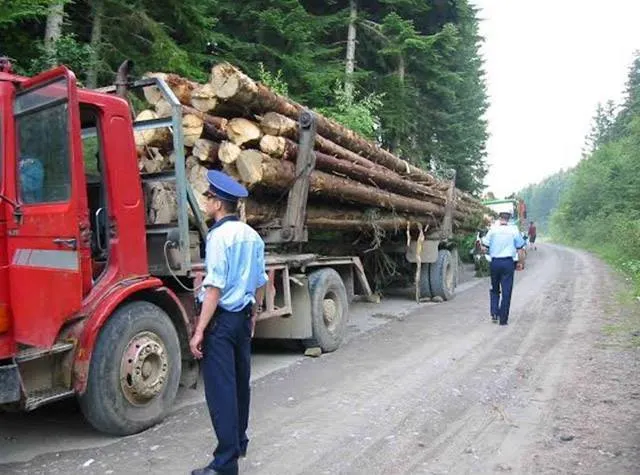 Transporta peste 25 de mc de lemn, dar nu avea acte pentru 7mc, din cantitate. A rămas fără toată încărcătura