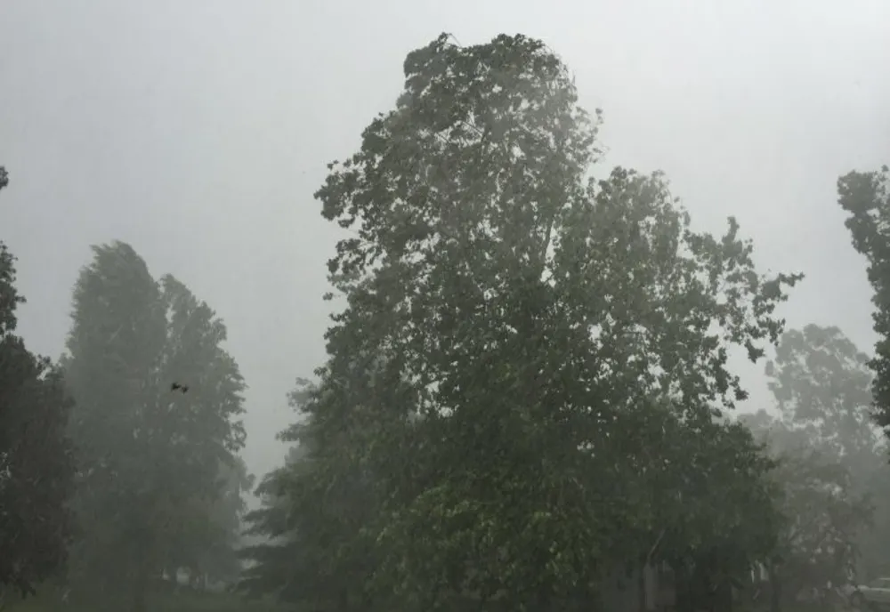 Cod galben de vânt și ceață în 11 județe. În Dâmbovița avertizarea valabilă până la ora 12.00