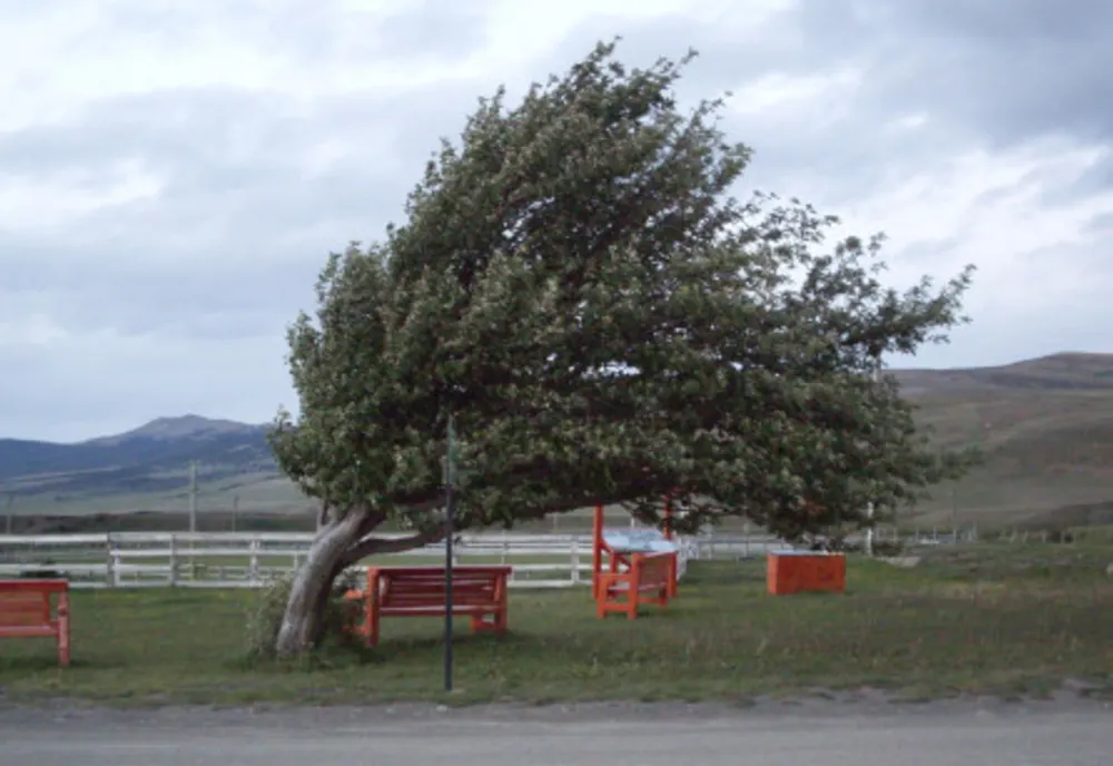 Alertă meteo! Cod galben de vânt și în Dâmbovița, în zonele joase (duminică,15 martie)