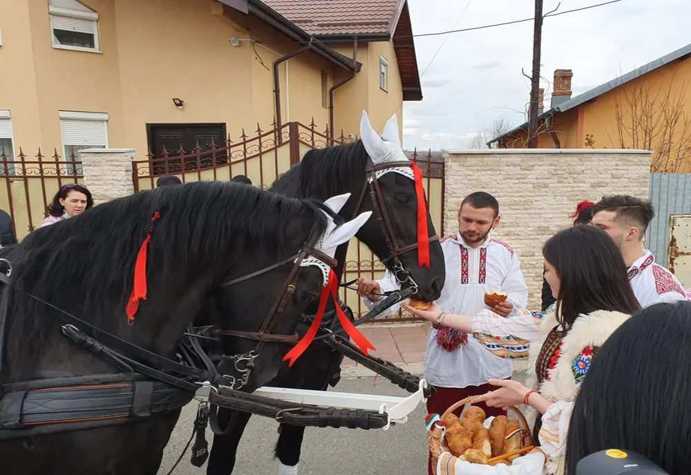 Video-FOTO| "Tudorița" sau "Paștele cailor", sărbătoare unicat la Târgoviște