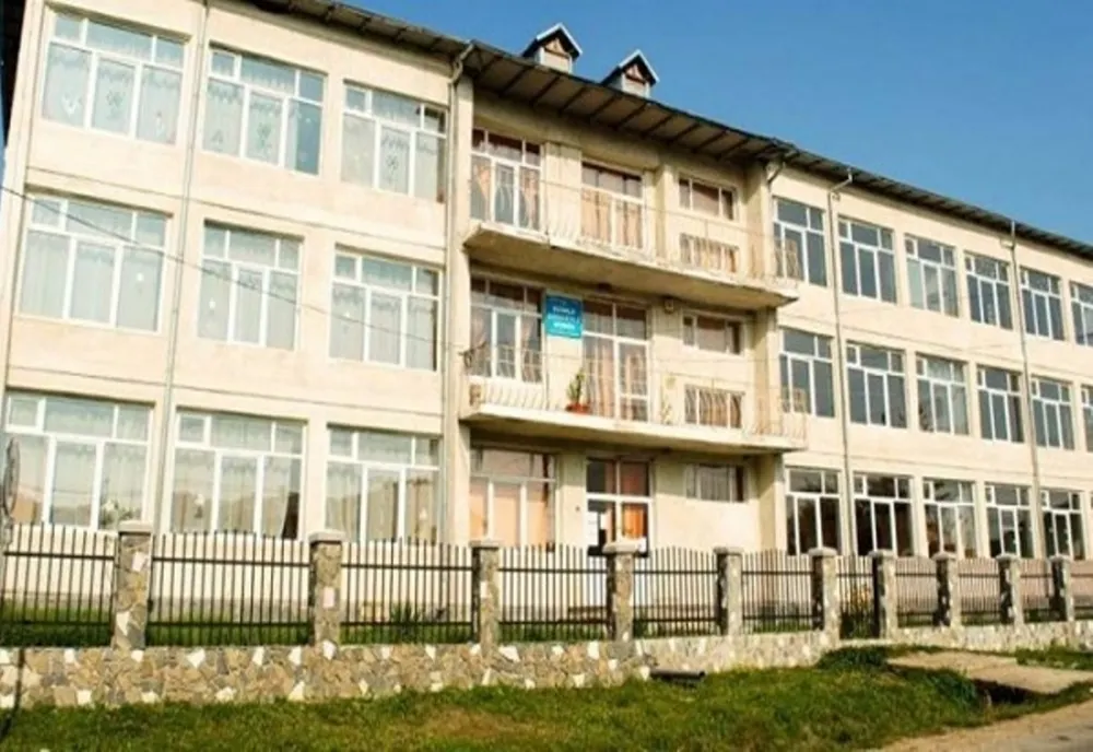Cum a fost sancționată o profesoară din Dâmbovița care a refuzat să predea on-line