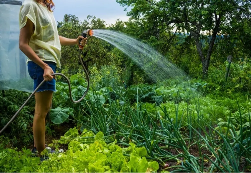 Dâmbovița. Debite reduse de apă din cauza temperaturilor crescute. Apelul operatorului către consumatori
