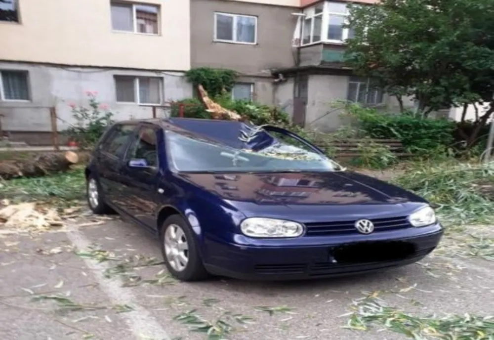 Copac căzut peste o mașină în municipiul Târgoviște