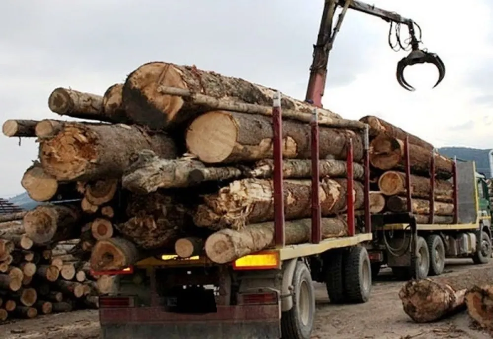 Dâmbovița: Amendați drastic pentru transport de material lemnos fără documente legale