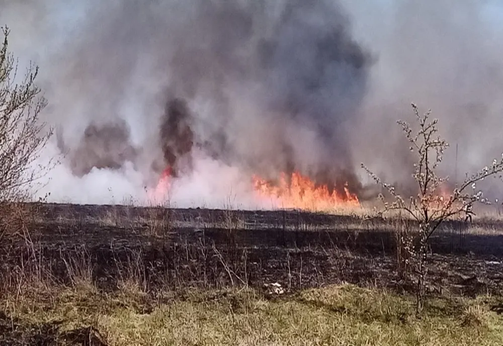 Dâmboviţa. Peste 300 de misiuni ale pompierilor în doar o săptămână
