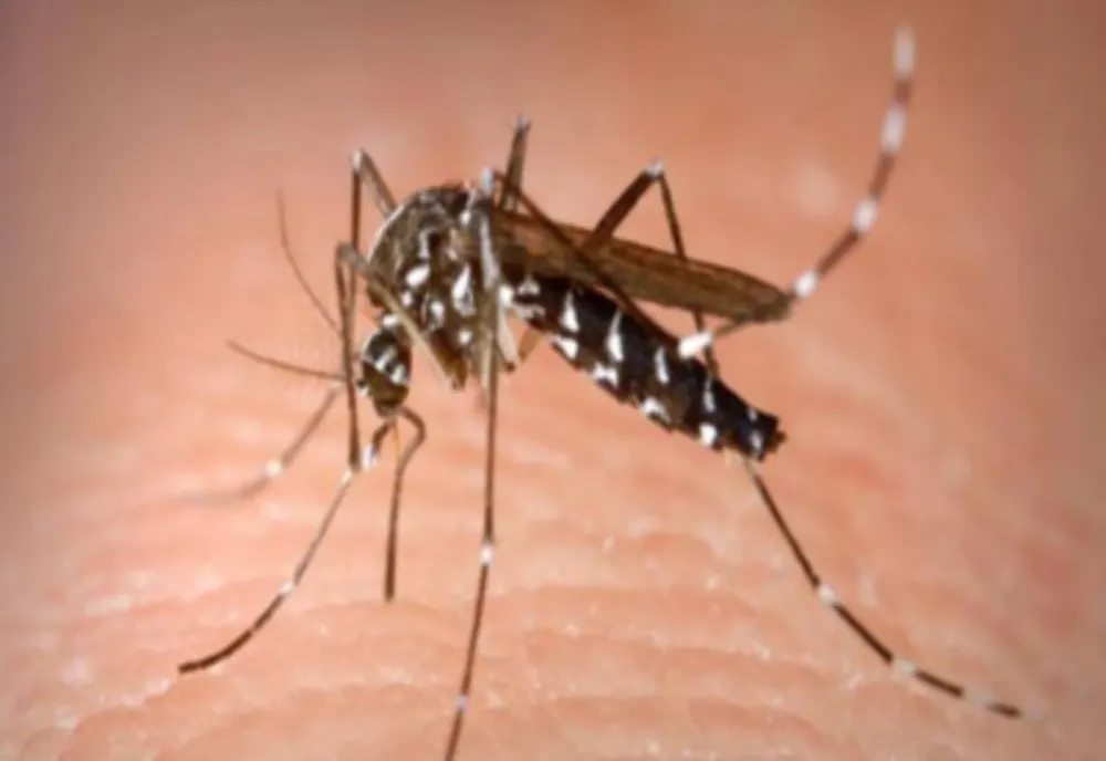 Caz de encefalită acută cu virusul West Nile, confirmat în Dâmbovița