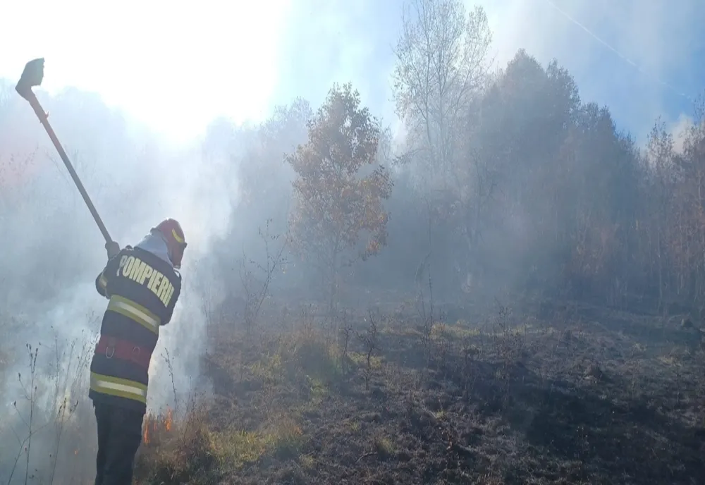 Dâmbovița.  Zeci de hectare de vegetație, în flăcări