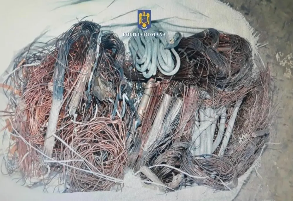 Bărbat din Dâmboviţa, amendat după ce a fost prins cu 350 de kilograme de materiale feroase şi neferoase 