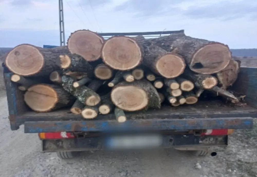  Dâmbovița. Șofer amendat drastic pentru că transporta ilegal lemne