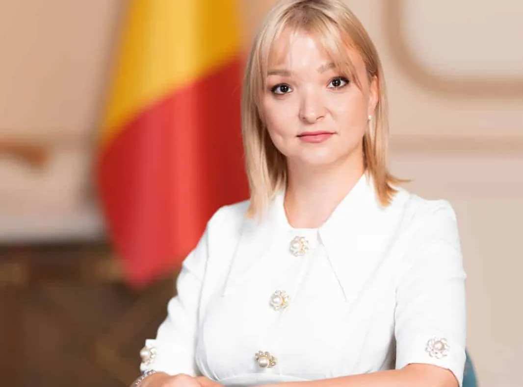 LIDIA VADIM TUDOR, DEPUTAT AUR: "ROMÂNIA, ȚARA ABSURDULUI ȘI A IPOCRIZIEI: GUVERNUL PLĂTEȘTE DE ZECI DE MII DE LEI PE LUNĂ PENTRU DEPLASĂRI"