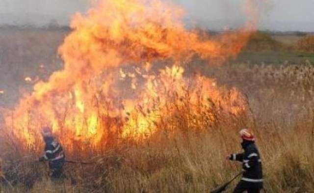 Semnalul pompierilor: ATENŢIE la incendiile de vegetaţie