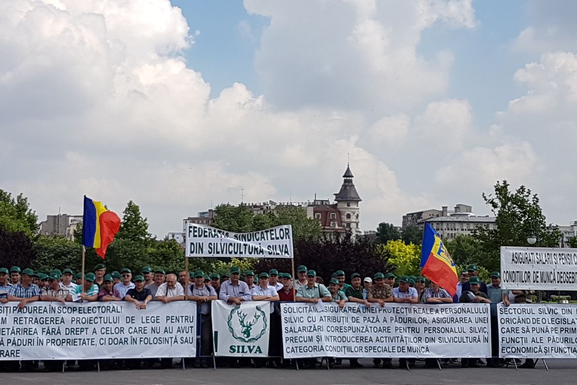 Silvicultorii cer, Camerei Deputaților, respingerea unei legi ce dă pădurile în proprietatea cultelor