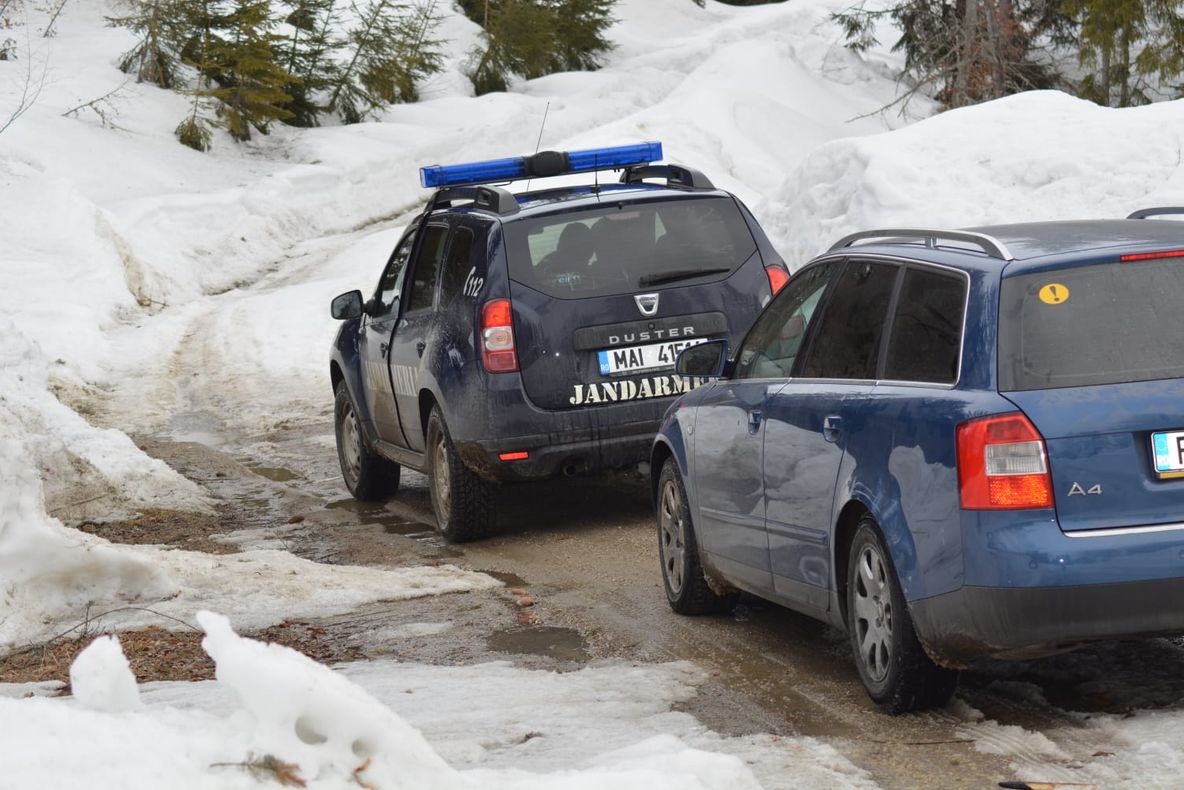 Turiști prahoveni, ajutați de jandarmii montani dâmbovițeni
