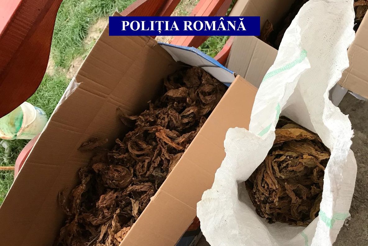 FOTO| Desfășurare impresionantă de forțe, în 17 județe, pentru combaterea comerțului ilicit cu tutun