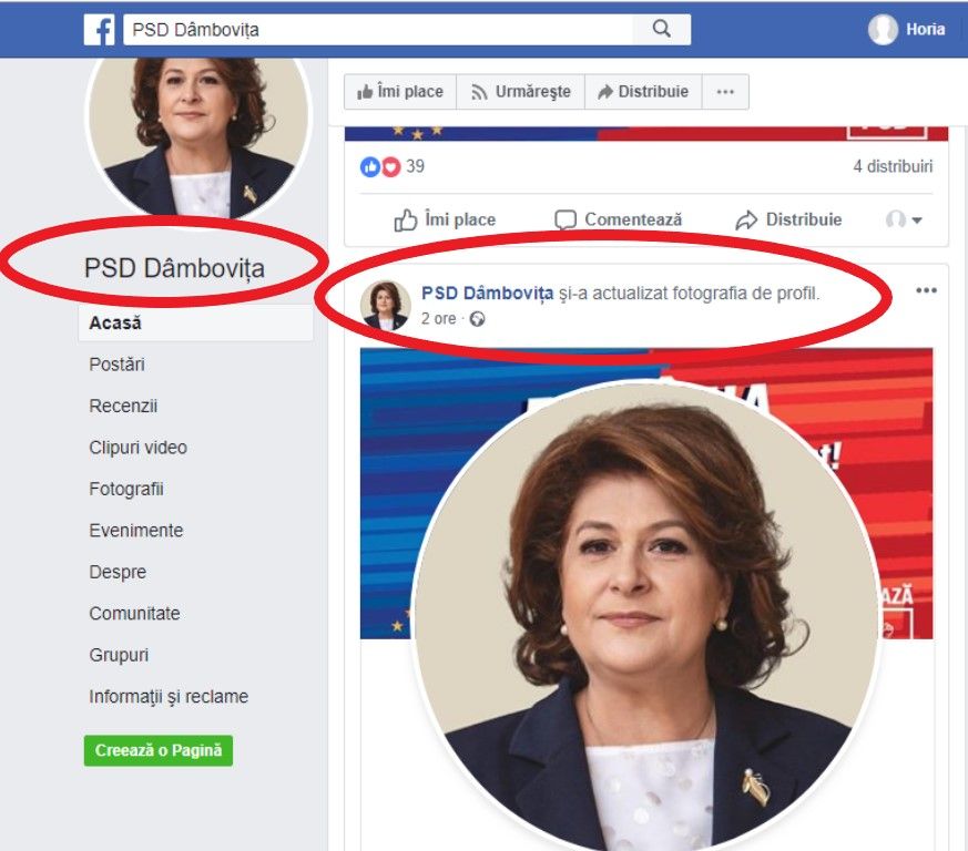 PSD Dâmbovița pune tabloul șefului pe toți "pereții", după modelul comunist