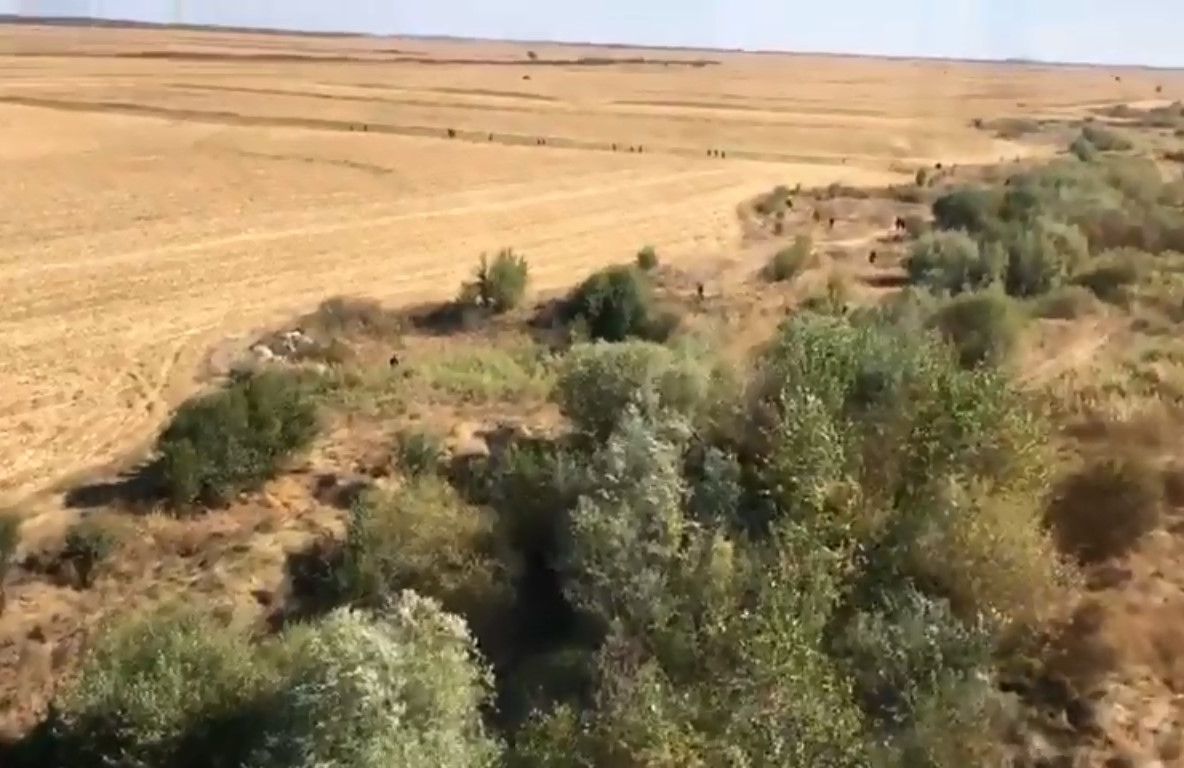 Fetița dată dispărută, la Gura Șuții, a fost găsită decedată.