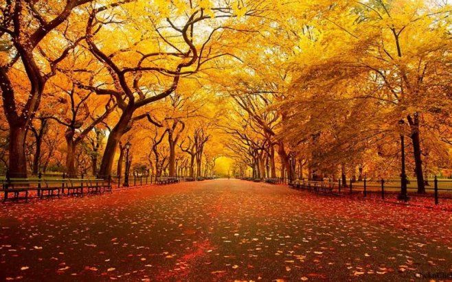 Prognoza meteo. Continuă temperaturile de vară. Când își intră toamna în drepturi