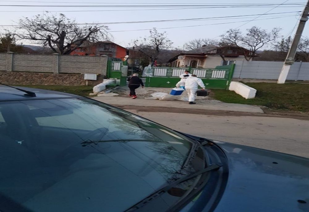 Unicat în România. Caz de Pestă Porcină Africană anunțat pe facebook, la Bezdead