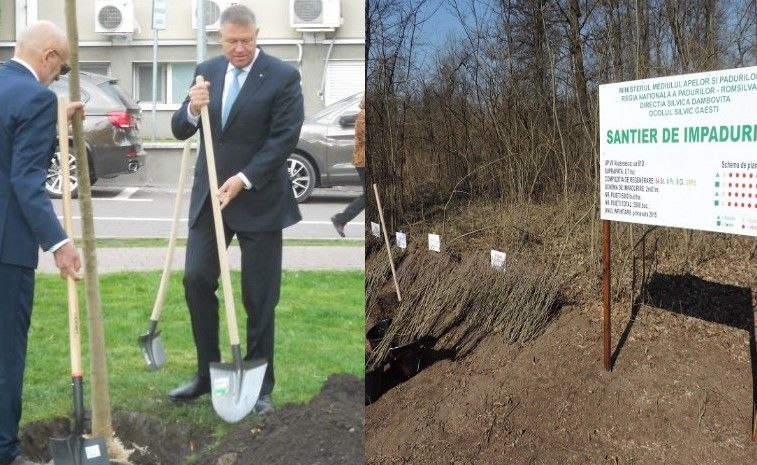 Președintele și premierul vin în Dâmbovița, la lansarea evenimentului "O pădure cât o țară". Evenimentul are loc vineri, 6 martie, la Uliești