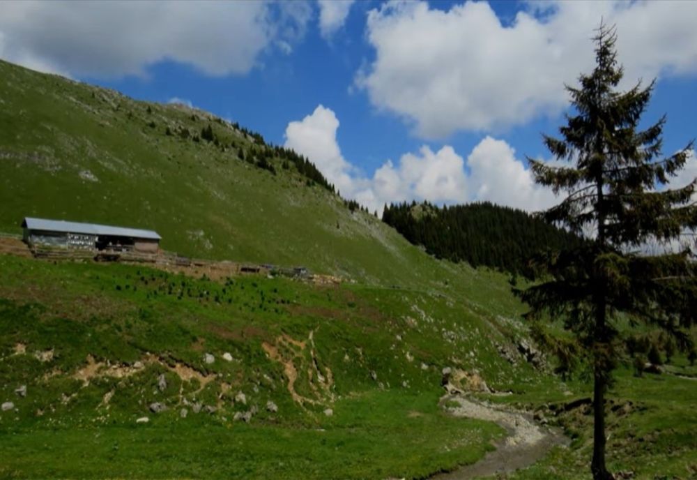Dâmbovițean găsit decedat în munții Bucegi. Plecase cu o turmă de animale spre stâna Tătaru, dar nu a mai ajuns