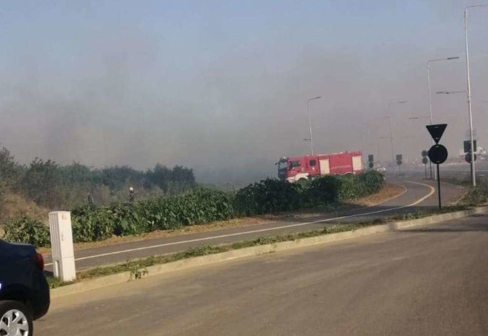 Incendiu de vegetație în zona mall-ului din Târgoviște