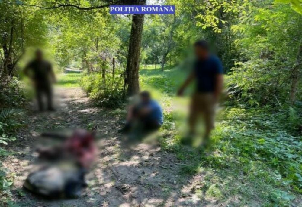Dâmbovița: Doi braconieri, prinși cu un urs tranșat în mașină. Unul dintre ei a sărit cu un cuțit la vânătorii care i-au depistat