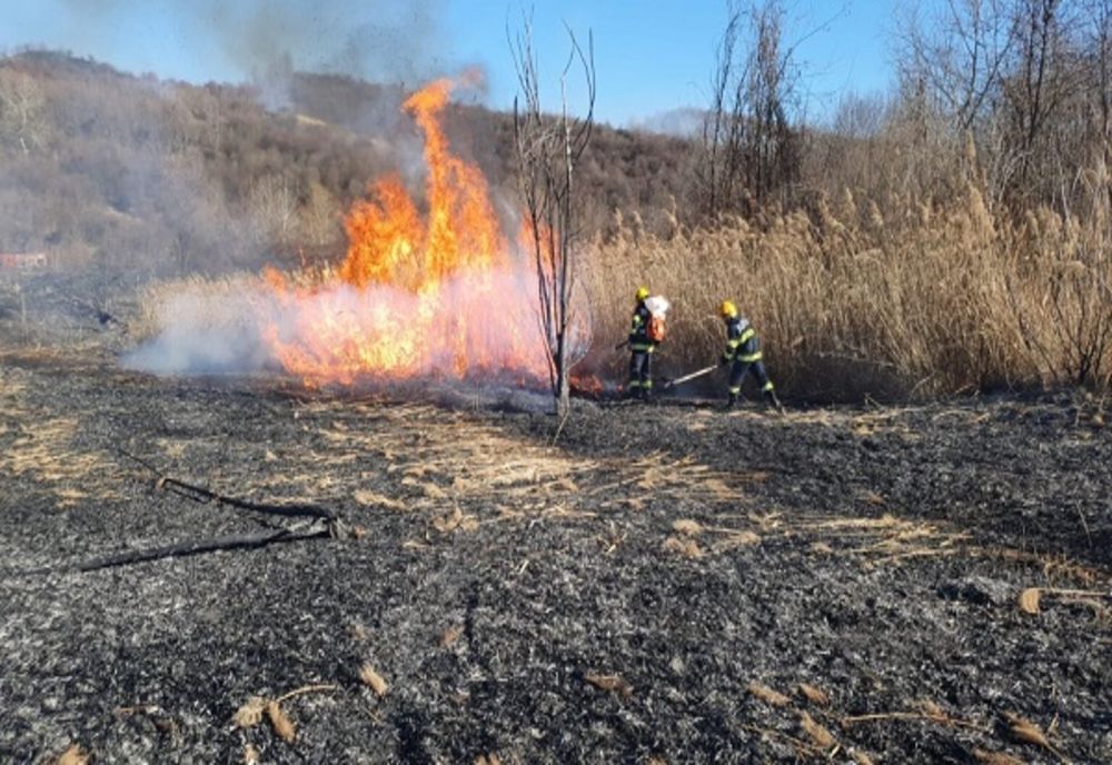 Zeci de incendii de vegetație uscată în Dâmbovița, în ultima săptămână