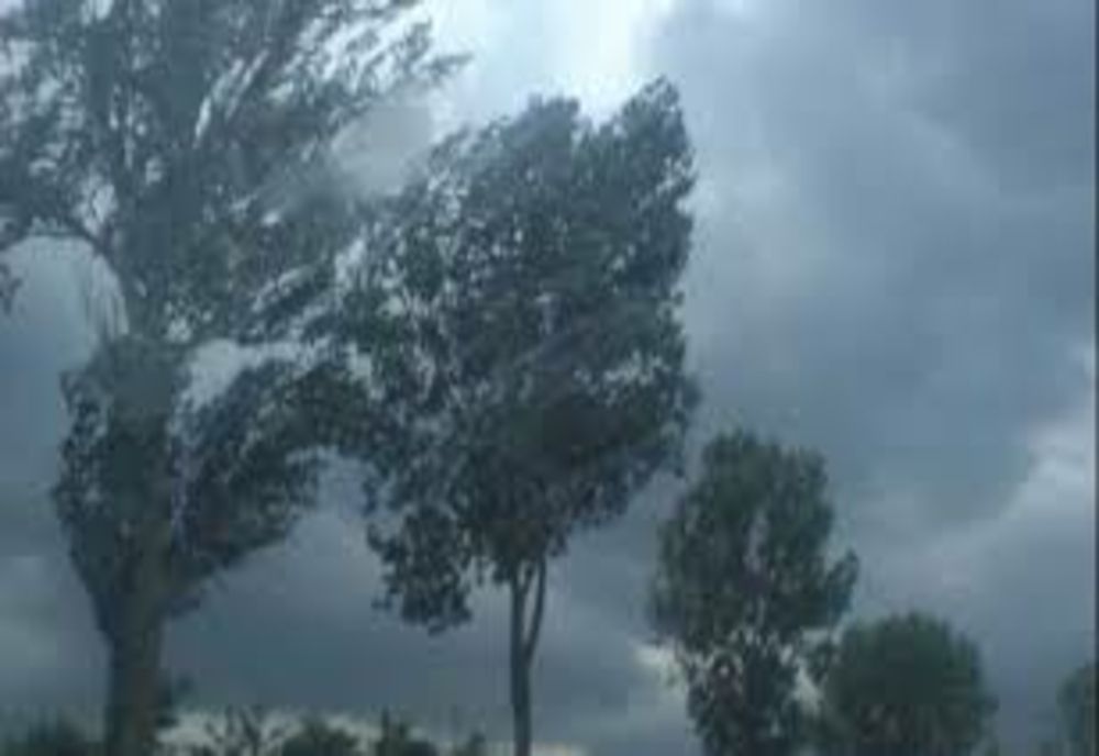 Localităţi din judeţele Prahova şi Dâmboviţa, sub cod galben de vânt puternic 