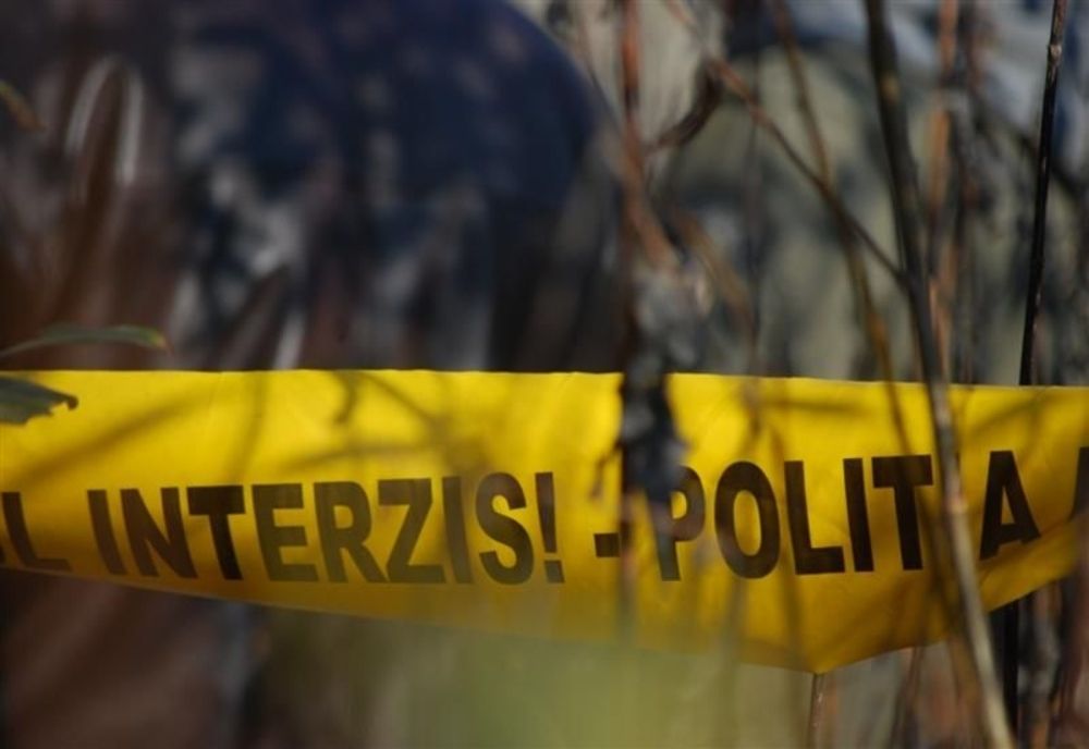 Dâmbovița. Un bărbat a murit într-o pădure, după ce o bucată de lemn i-a căzut în cap