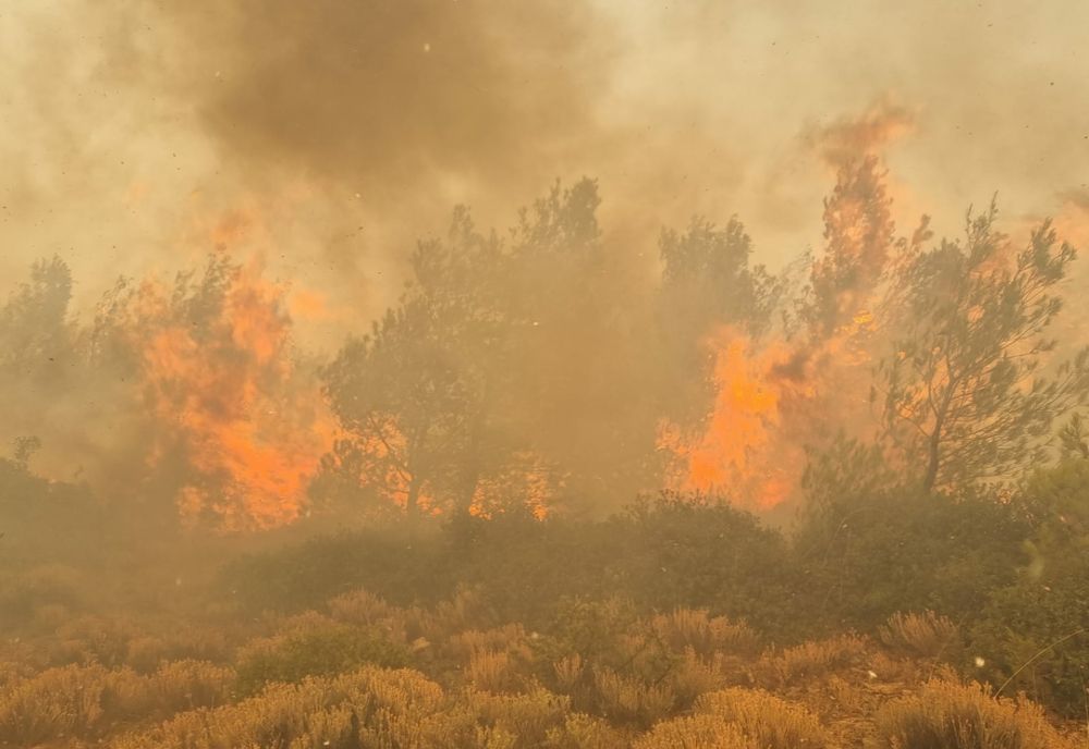 Alertă MAE pentru români: Grecia a prelungit Codul roșu de caniculă până pe 27 iulie - Risc uriaș de incendii