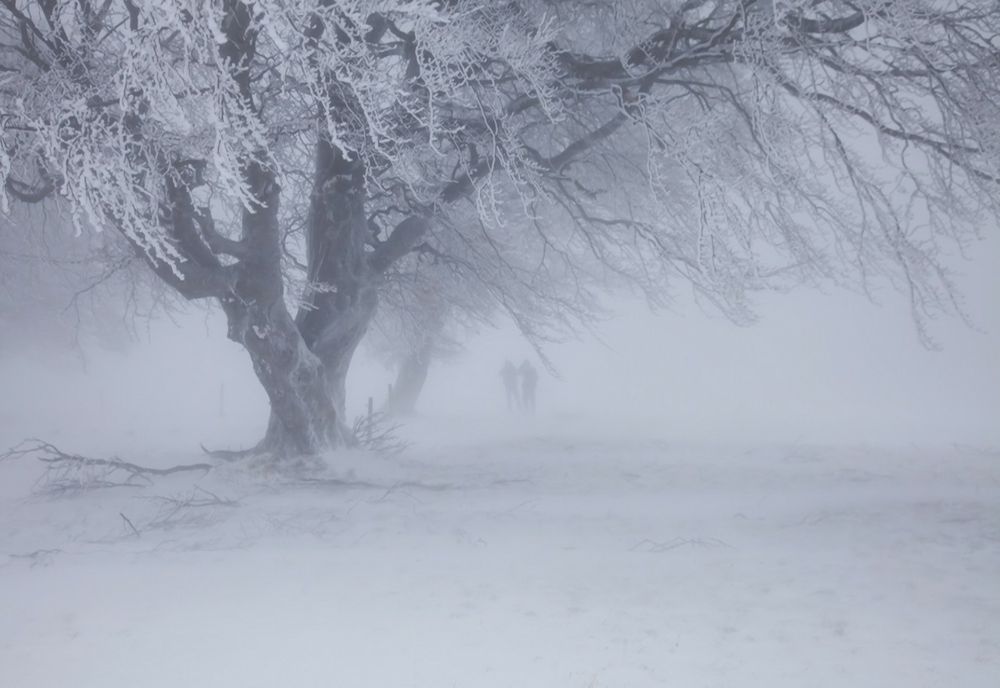 Nou ciclon peste România! Sunt așteptate ninsori, viscol şi temperaturi în scădere