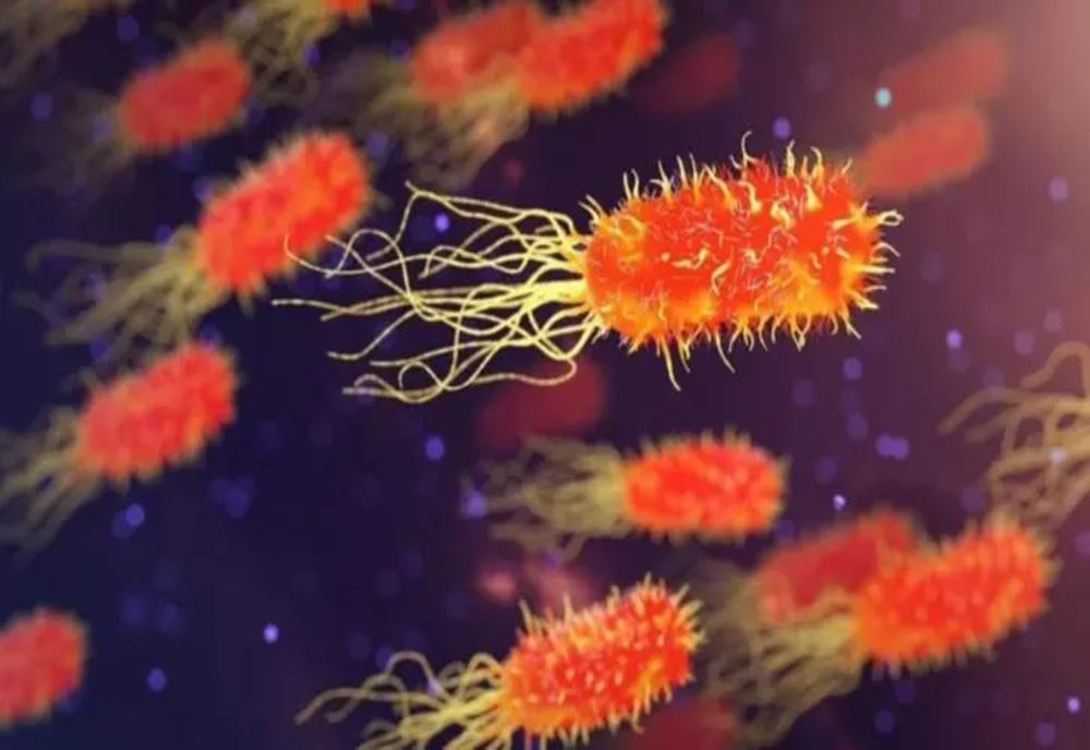 O bacterie comună ar putea avea legătură cu boala Alzheimer