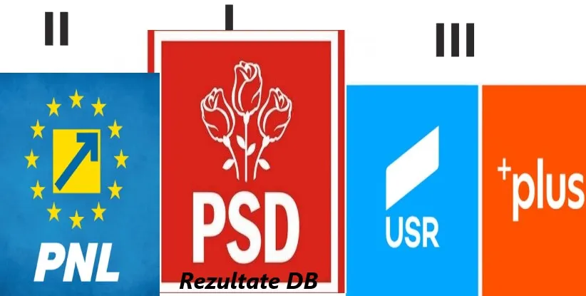 articol rezultate