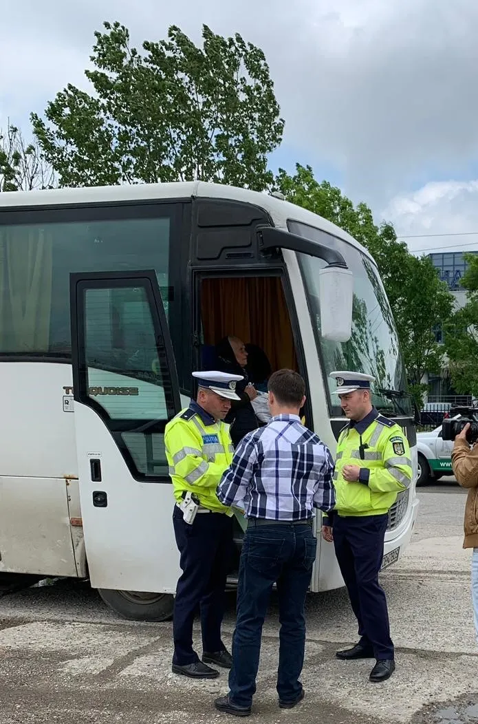 truck and bus 2