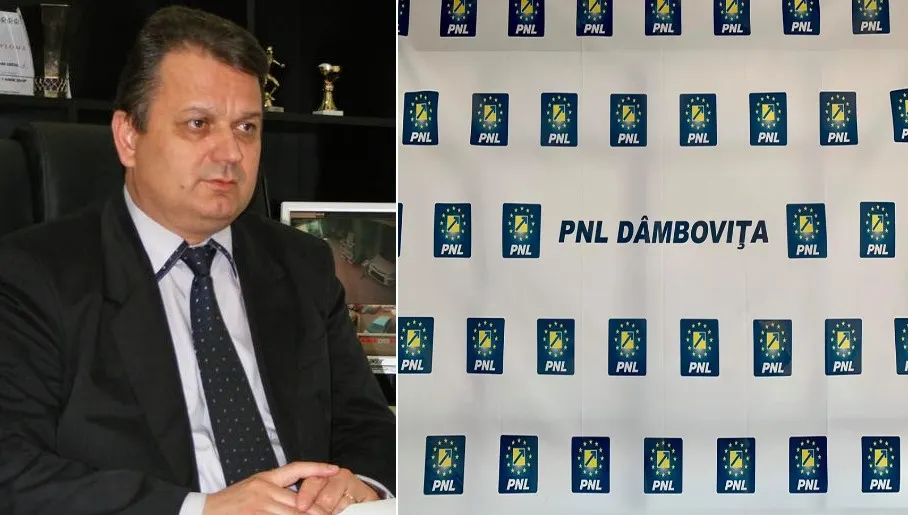 pnl dambovita epurari articol