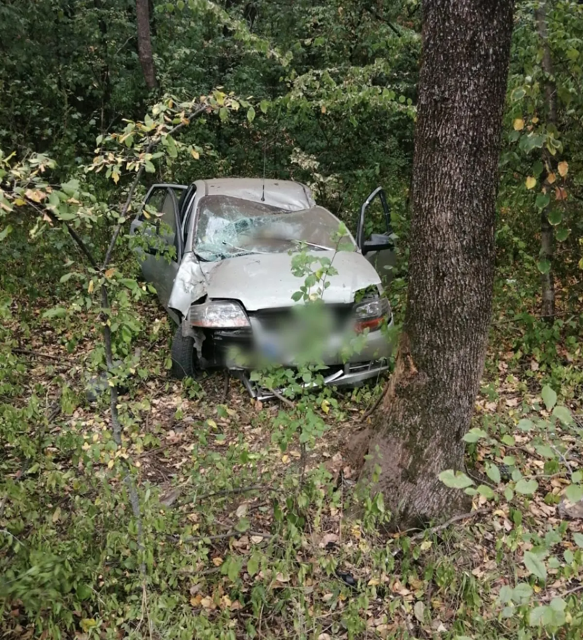 IMG-20190904-WA0000