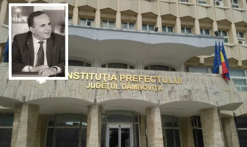articol cristea