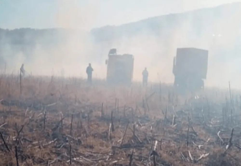 Dâmbovița. Cultură de porumb făcută scrum la Odobeşti. Pompierii acţionează pentru stimgerea incendiului