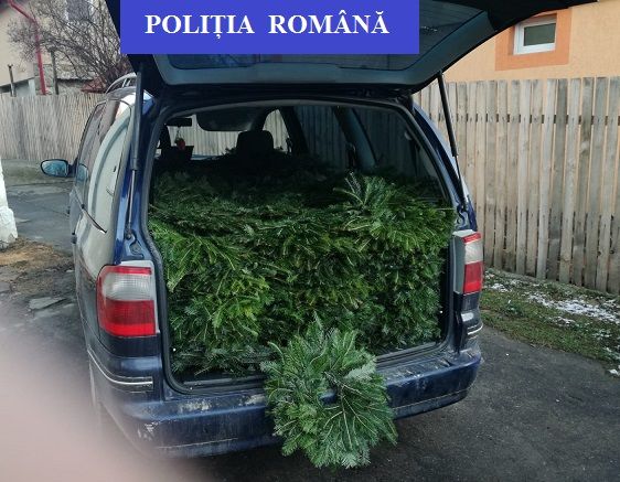 IMG-20181213-WA0002