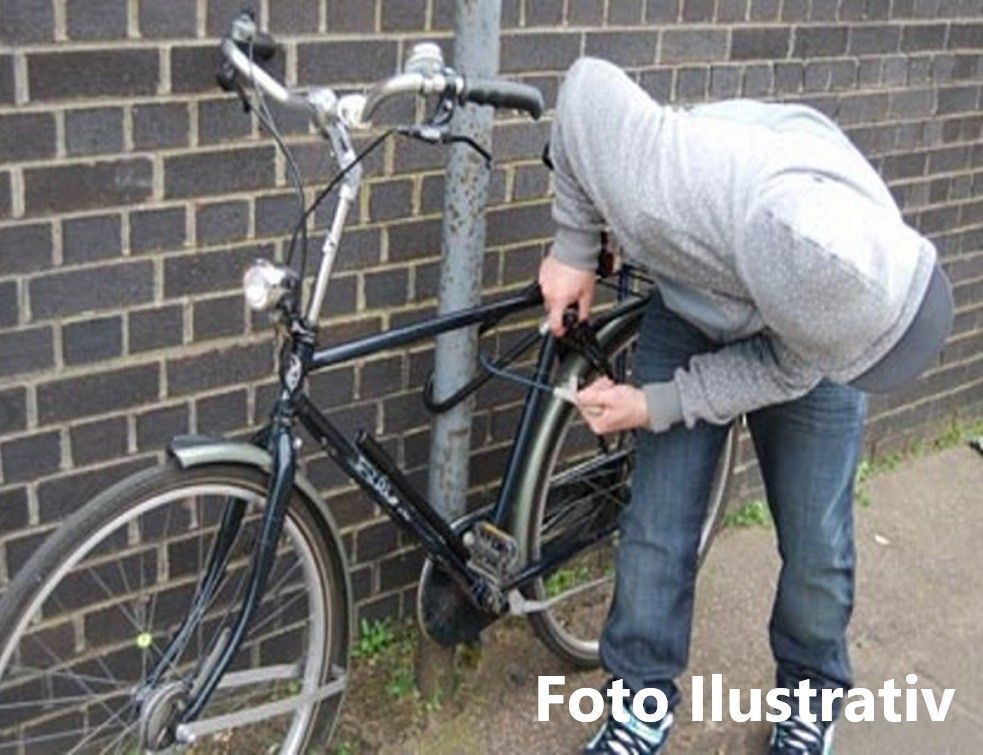 hoti biciclete articol