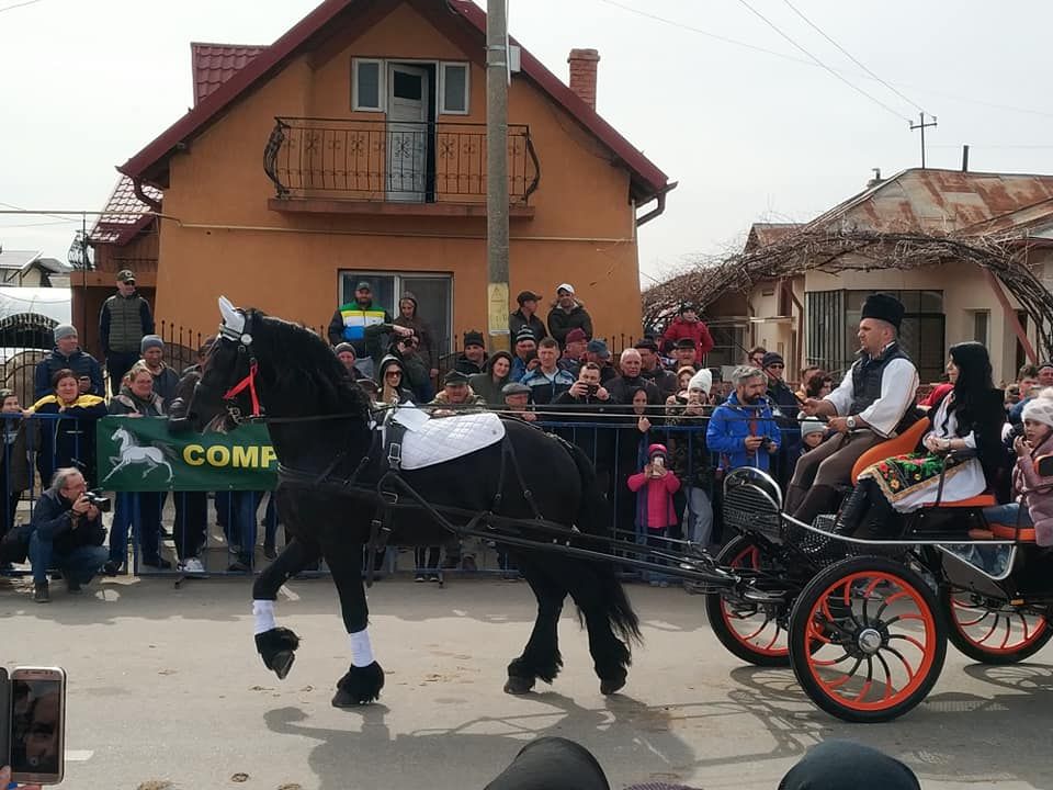 zaedno 4