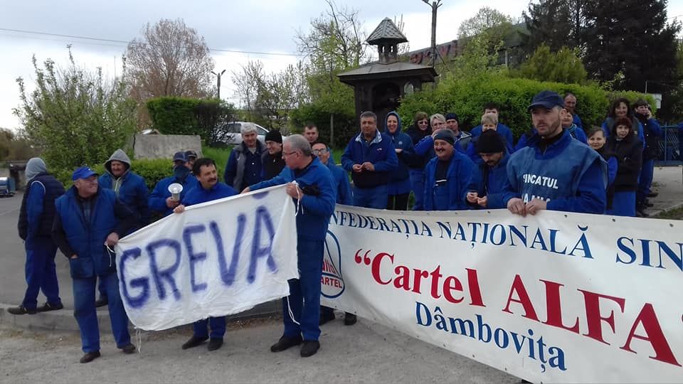 cartel alfa miting 2