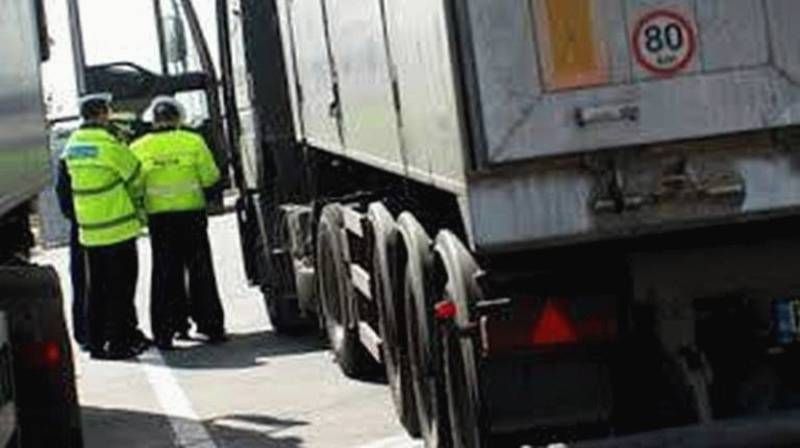 truck and bus 2