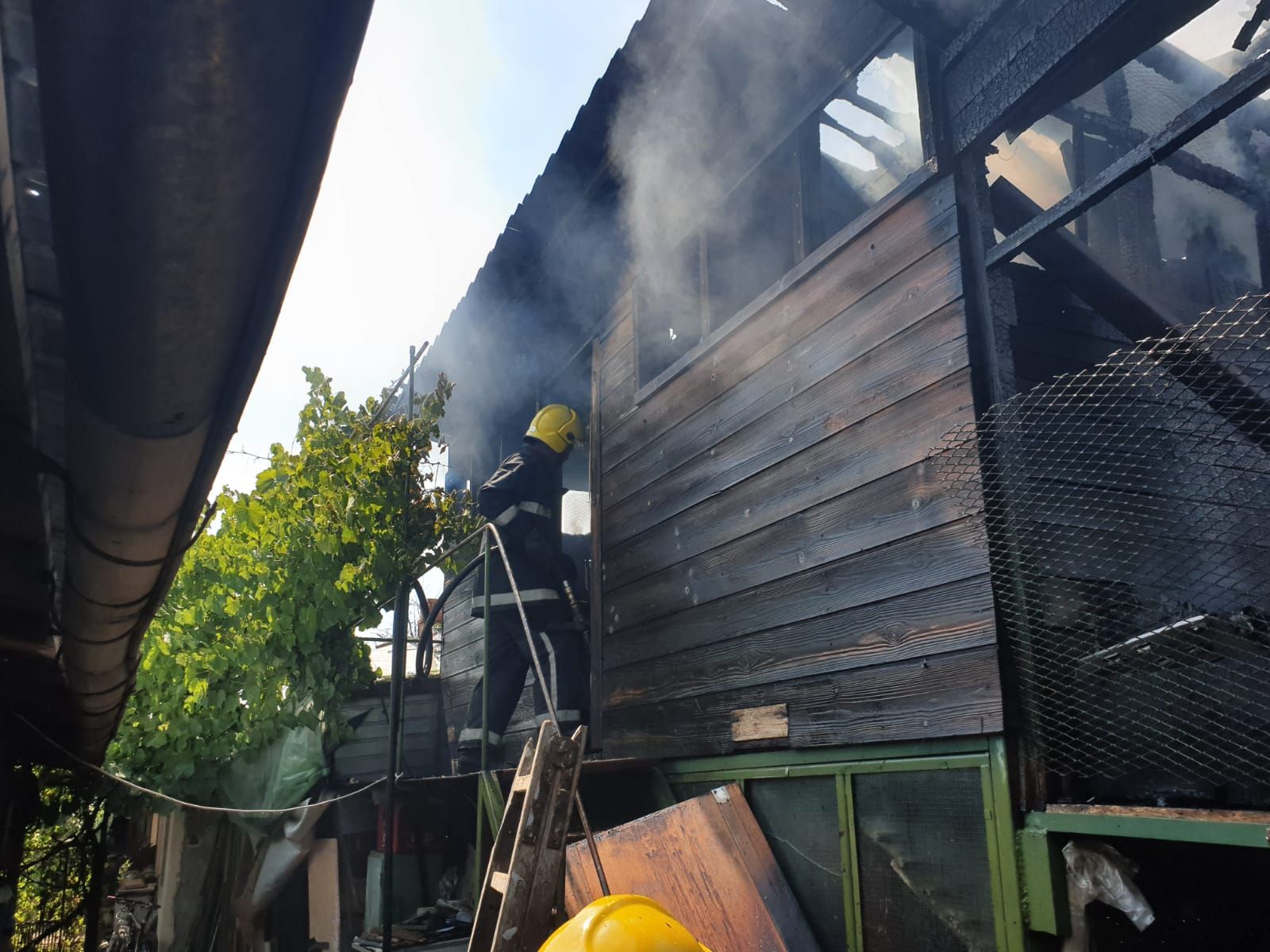 IMG-20190726-WA0019
