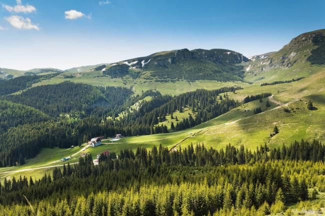 Platoul-Padina-Bucegi