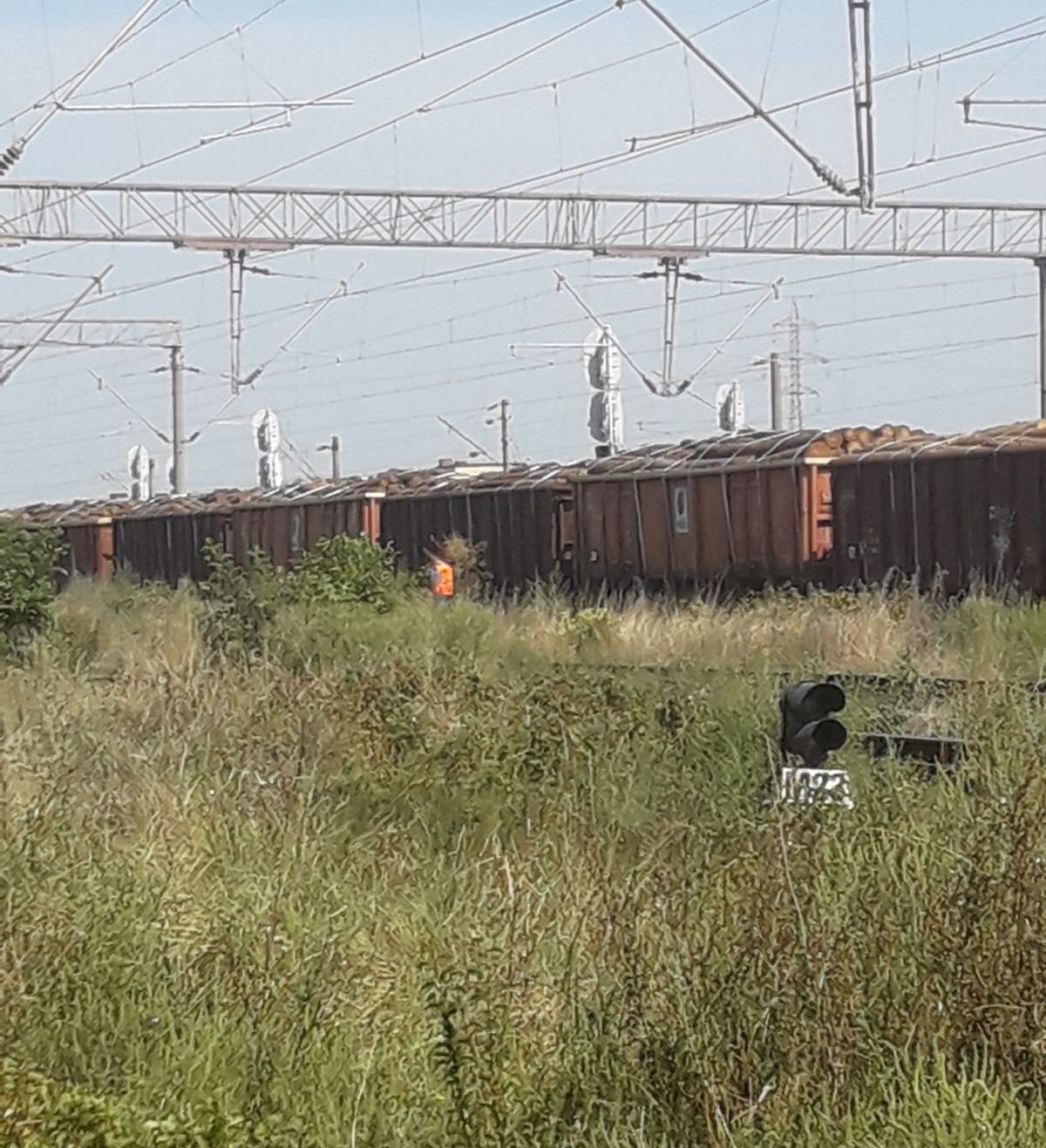 IMG-20190823-WA0001