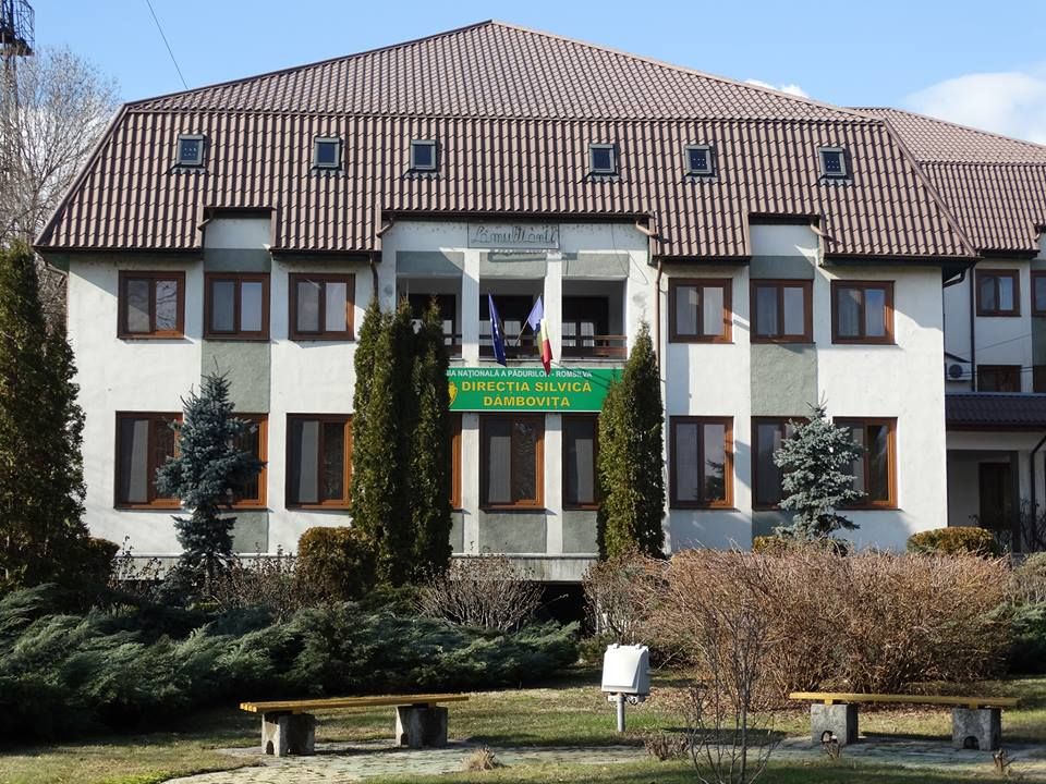 directia silvica db